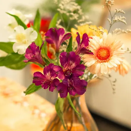 Benaco36 Hotel Torri Del Benaco