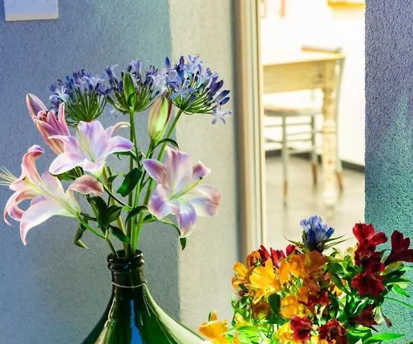 Benaco36 * Torri Del Benaco