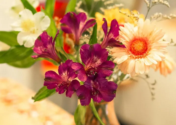 Benaco36 Hotel Torri Del Benaco