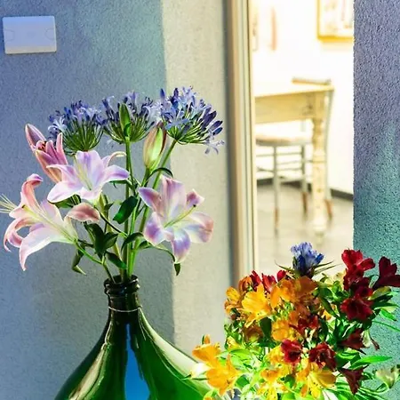 Benaco36 * Torri Del Benaco